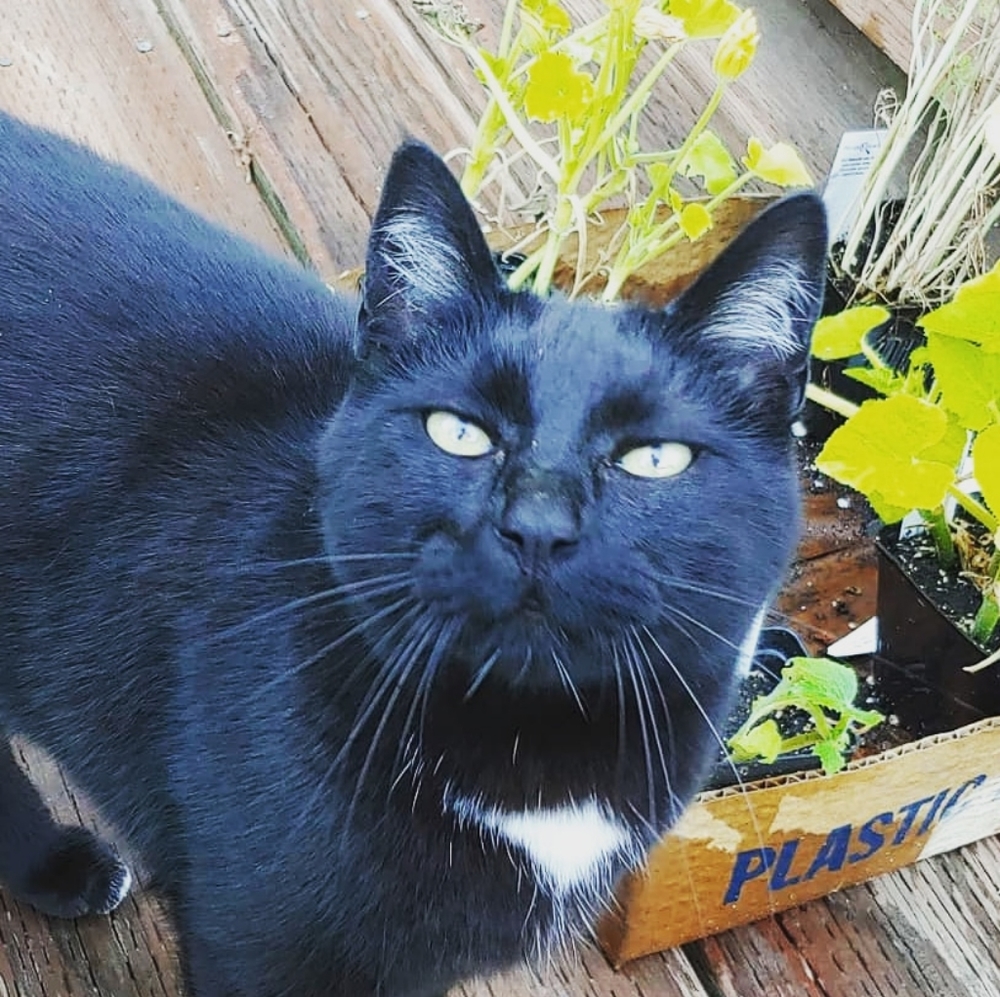 AMAZING SALE! Get unique hand crafted gifts here ❤❤❤ - Picture 5 of 13